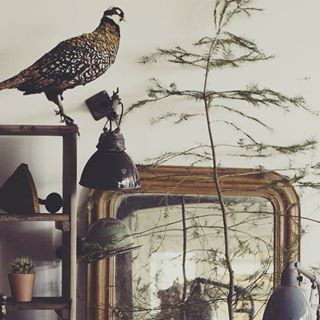 Profile Picture of Aster Iris Botter (Botters Brocante ) (@Aster-Iris-Botter) on Facebook
