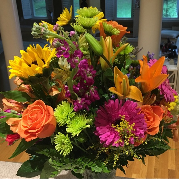 Profile Picture of Evelyn Todorow (@etodorow) on Poshmark