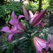 Profile Picture of Karen Olmstead (@karenaolmstead) on Pinterest