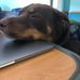 Profile Picture of Colin Cohen (@colin.cohen.125) on Facebook