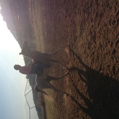 Profile Picture of Assaad El Hachem (@AssaadElhachem) on Twitter