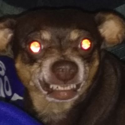 Profile Picture of Joseph Bittner (@JosephBittner10) on Twitter