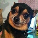 Profile Picture of Nathan king (@thelengend27officel) on Instagram