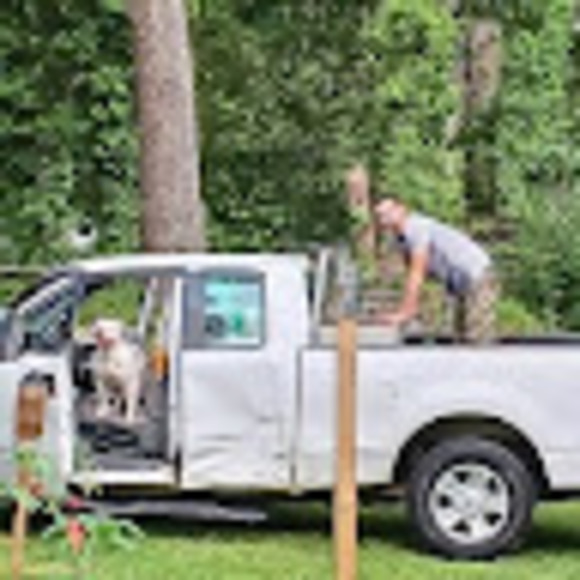 Profile Picture of Brandon Cox (@brandoncox30127) on Poshmark