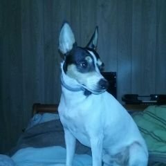 Profile Picture of Cliff Dodd (@cliffEDodd) on Twitter