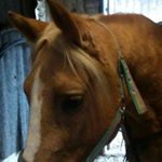 Profile Picture of paula uhlenbrock (@puhlenbrock) on Instagram