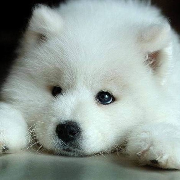 Peter Maldonado - Poshmark Profile Picture of Peter Maldonado (@pmaldonu3151) on Poshmark