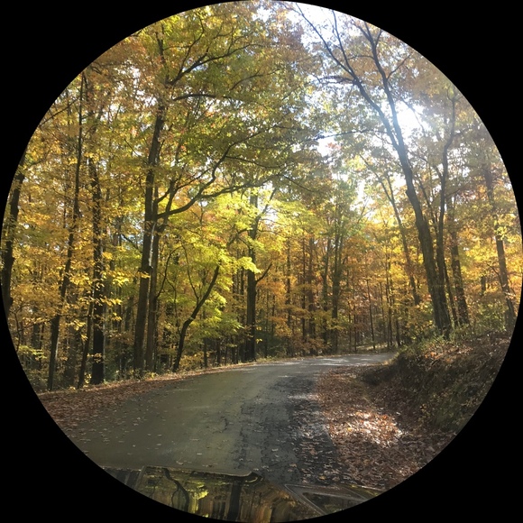 Profile Picture of Noelle Heckscher (@starsideup) on Poshmark