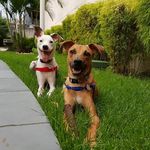 Profile Picture of Peter Parker and Thanos (@peter_and_thanos) on Instagram