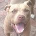 Profile Picture of Bradley Harper (@bradley.harper.750) on Facebook