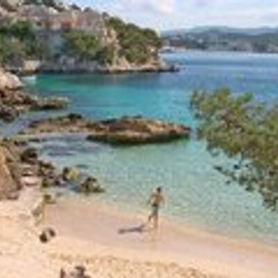 Profile Picture of Amy Rundell (@AmyRundell1) on Twitter