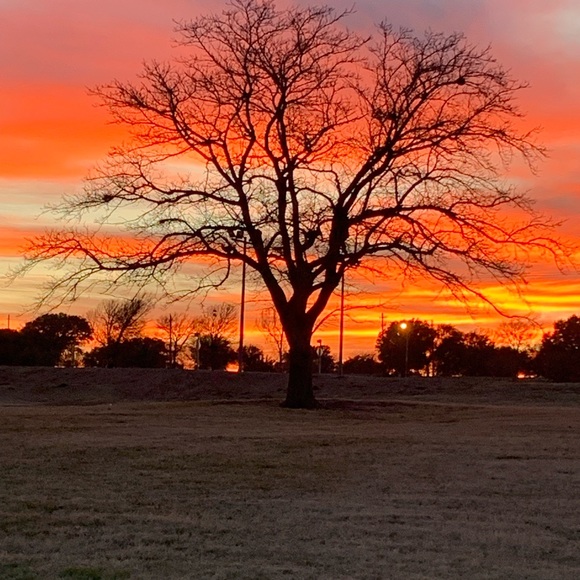 Profile Picture of Sean Cheramie (@seanc231) on Poshmark