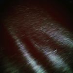 Profile Picture of Jordan McGlothlin (@jordanmcglothlin) on Instagram