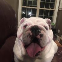 Profile Picture of Donna Pearson (@donna-pearson-20) on Quora