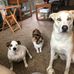 Profile Picture of Sara Heinz (@sara.heinz.737) on Facebook