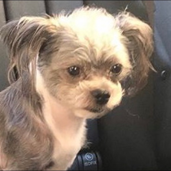 Profile Picture of Oliver Lu (@oliverlu) on Poshmark