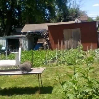 Profile Picture of Roger Reese (@roger.reese.589) on Facebook