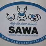 nancy salvatore - Instagram Profile Picture of nancy salvatore (@robnansawa) on Instagram