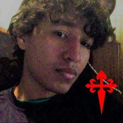 Profile Picture of José Leonardo Perales (@jleo95) on Twitter