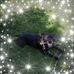 Profile Picture of Bryan Holiday (@bryan.holiday1) on Facebook