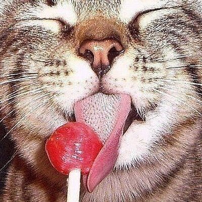 Panfilov Oleg - Twitter Profile Picture of Panfilov Oleg (@PanfilovO) on Twitter