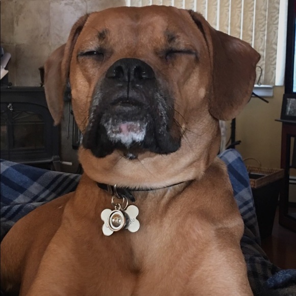 Profile Picture of Clara Revere (@claram19) on Poshmark