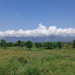 Profile Picture of saima kanwal (@saima.kanwal555) on Instagram