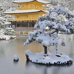 Profile Picture of Chima Chinara Anita (@cc_anitah) on Instagram