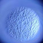 Profile Picture of Shane Groff (@shane_groff) on Instagram