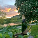 Profile Picture of Alexandra Herzer (@Alexandra-Herzer) on Facebook