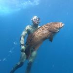 Jason Whitehead - Instagram Profile Picture of Jason Whitehead (@soyyeson) on Instagram