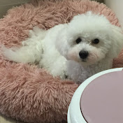 Profile Picture of Mandy Yu (@mandyyu1348) on Youtube