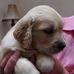 Profile Picture of Chris Stembridge (@chris.stembridge.3) on Facebook