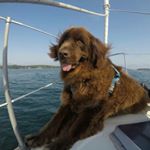 Profile Picture of Doug Roop (@dougroop) on Instagram