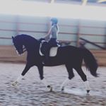 Profile Picture of Paige Wolfe (@paige_wolfe_dressage) on Instagram