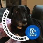 Profile Picture of Brian Radziewicz (@brian.radziewicz.54) on Facebook