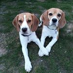 Profile Picture of Kevin Stender (@kevin.stender.756) on Instagram