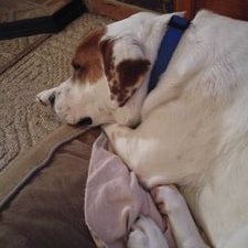 Gary Denison - Twitter Profile Picture of Gary Denison (@gary_denison) on Twitter