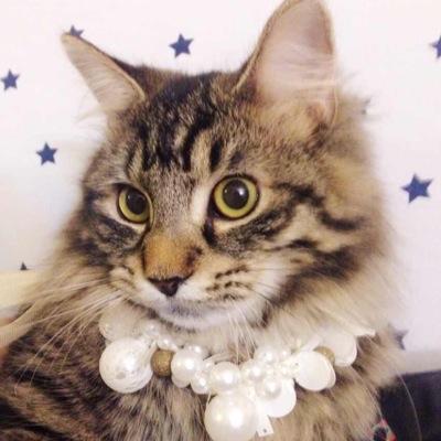 Profile Picture of Jessie Kai (@kai_jessie) on Twitter