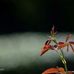 Profile Picture of David Deedar (@david.deedar.5) on Facebook