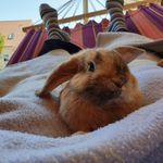 Profile Picture of Andrea Kolbeck (@dreakoli) on Instagram