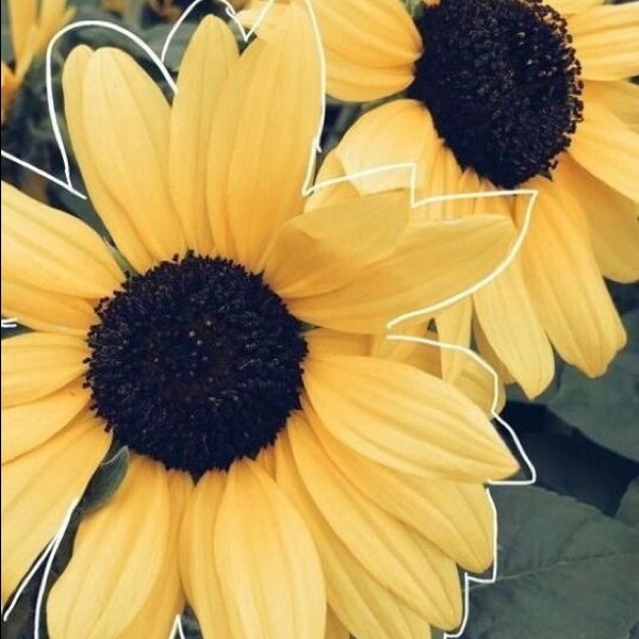 Profile Picture of Sophia Ioannidis (@sophiai1512) on Poshmark