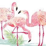 Profile Picture of Karen West (@flamingocardskaren) on Instagram
