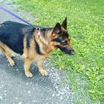 Profile Picture of Nathan Barden (@bardennathyn) on Instagram