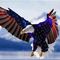 Profile Picture of John Barger (@john.barger.505) on Facebook