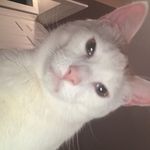 Profile Picture of Paige Scott (@ya.girl.paigeee) on Instagram