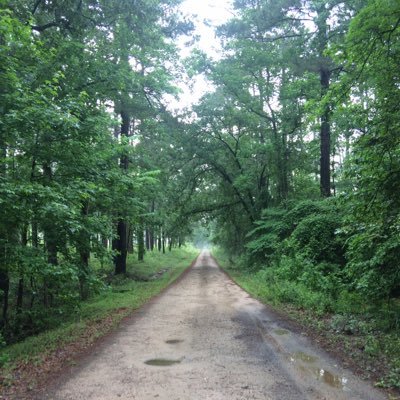 Profile Picture of Darren Foreman (@dpforeman) on Twitter