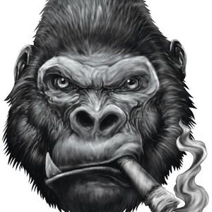 Profile Picture of Rodney Hooks (@wfhanywhere) on Myspace