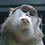 Keith Mosier - Flickr Profile Picture of Keith Mosier (@jarheadphotog) on Flickr