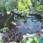 Profile Picture of Joyce M Bastie Olszewski (@joyce_just_joyce) on Instagram